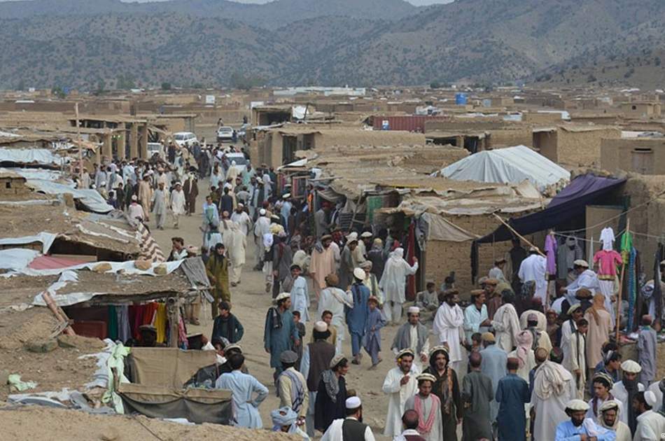 Transfer of Pakistani immigrants to the north of the country; The Islamic Emirate should explain to solve the concerns of the citizens