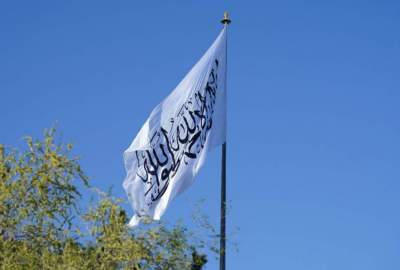 تعامل با امارت اسلامی سبب ثبات و امنیت در منطقه می‌شود