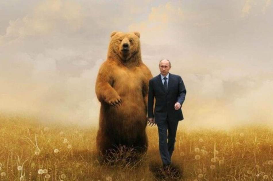 خرس روسی همچنان زنده است!