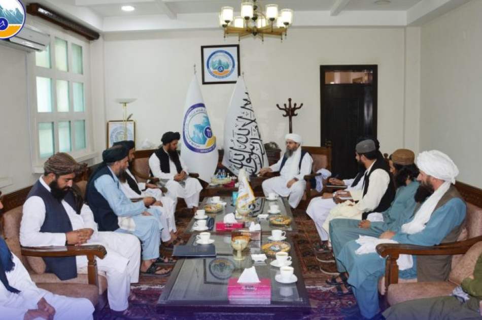 Delawar Meets Kabul Chairman of Council