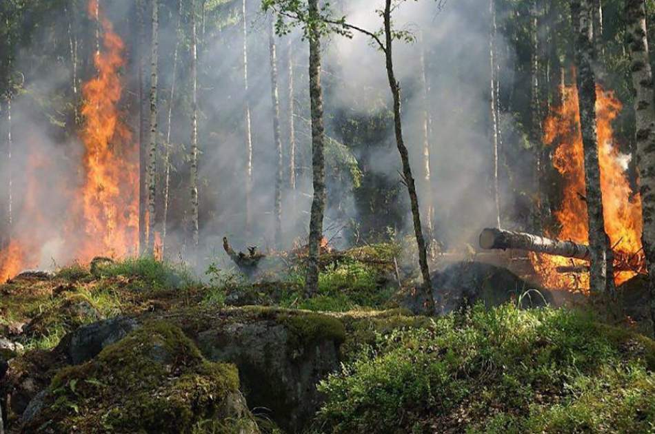 ادامه آتش سوزی در جنگلات کنر و نورستان/ تاکنون بیش از ۱۸۰ هکتار جنگل سوخته است