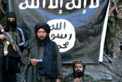 با روی کار آمدن امارت اسلامی در افغانستان گروه های تروریستی به شدت سرکوب شده اند