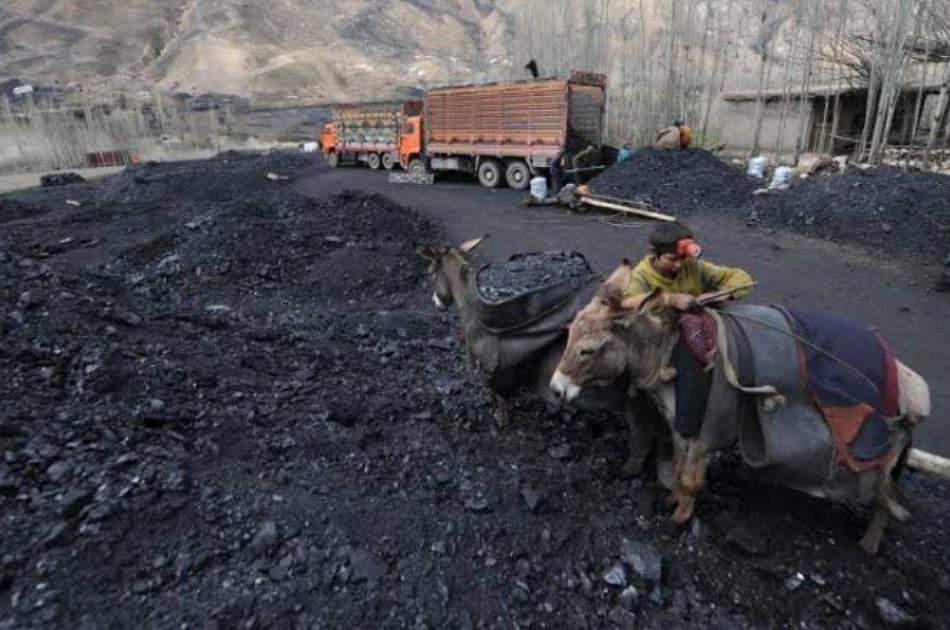 کاهش چشم‌گیر بازار فروش زغال‌سنگ در ولایت سمنگان