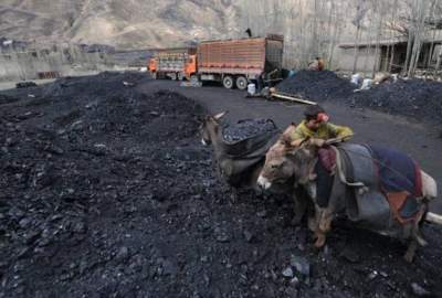 کاهش چشم‌گیر بازار فروش زغال‌سنگ در ولایت سمنگان