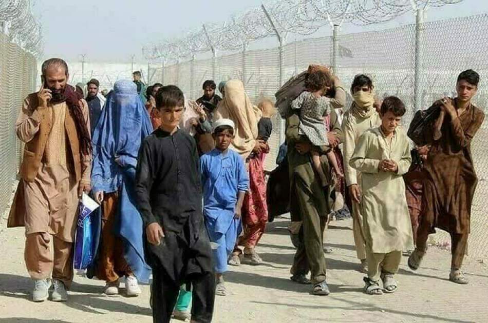 IOM: 25,000 Afghans returned home in three months