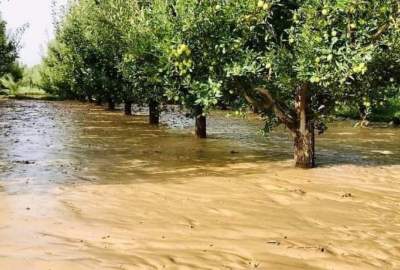 Destruction of two thousand acres of agricultural land due to flood in Ghazni