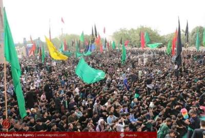 گزارش تصویری/ برگزاری باشکوه مراسم عاشورای حسینی در ولایت هرات  