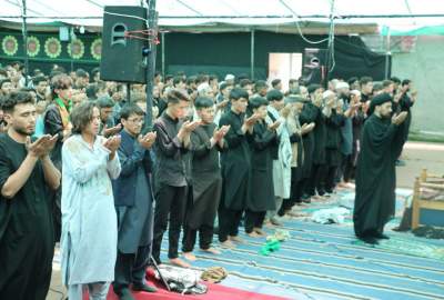 گزارش تصویری/ برگزاری باشکوه نماز ظهر عاشورا در شهرک المهدی جبرئیل هرات  