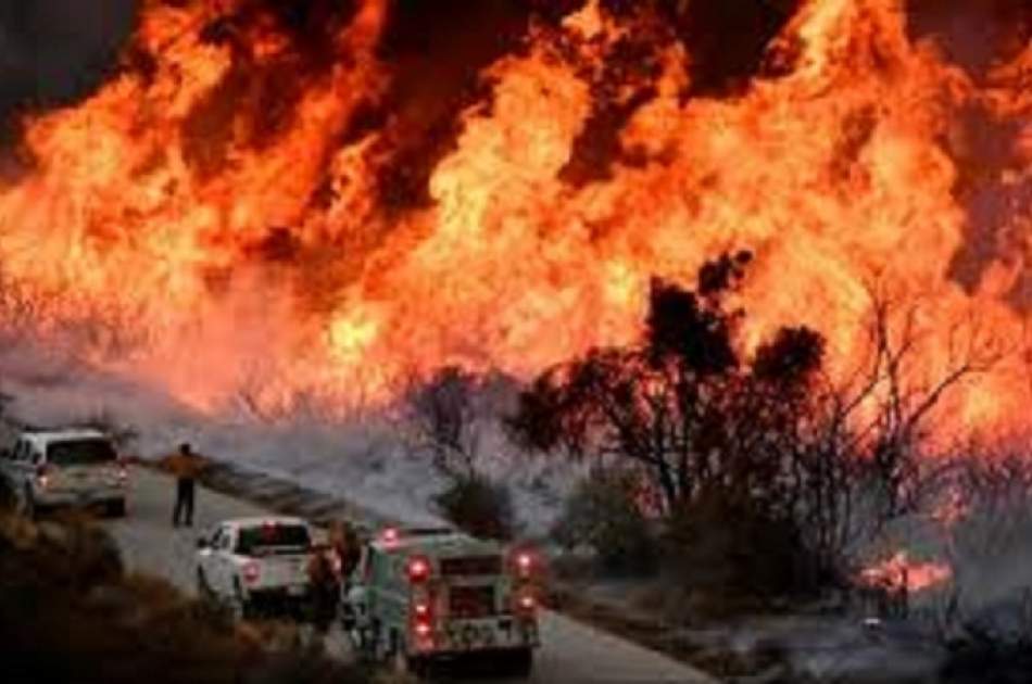 افزایش تلفات آتش‌سوزی در هاوایی آمریکا به ۸۹ نفر