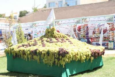 برگزاری نمایشگاه محصولات زراعتی و هفتمین جشنواره انگور در هرات