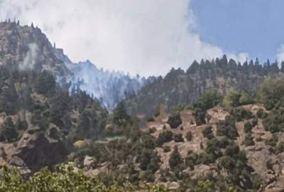 آتش سوزی در جنگل‌های ولسوالی برگمتال نورستان ادامه دارد