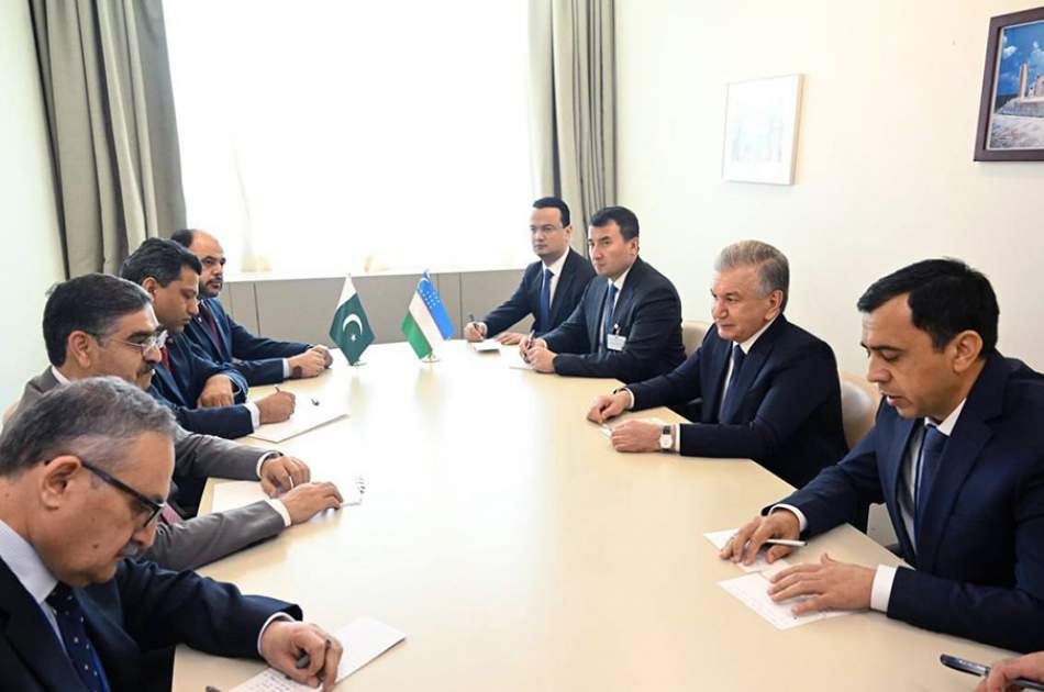 Uzbekistan and Pakistan discuss situation in Afghanistan