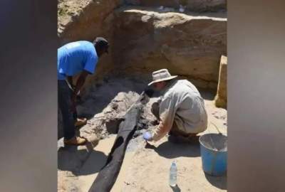 The discovery of the oldest wooden structure, half a million years old