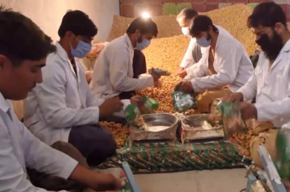 $600 Million Kandahar Dried Fruit Will Export This Year