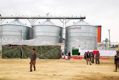 امنیت اقتصادی افغانستان وابسته به رشد زراعت است