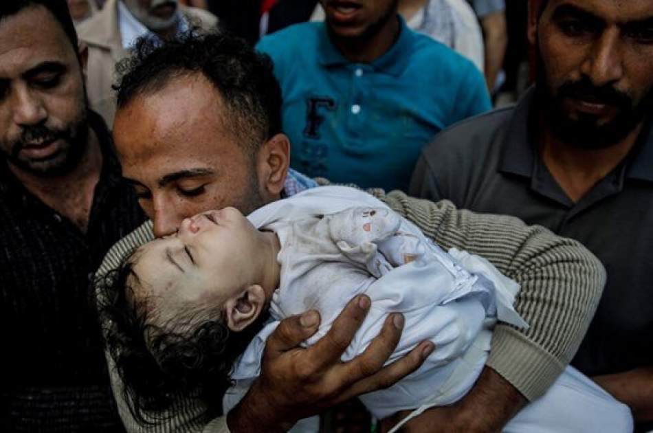 آمار شهدای غزه به بیش از ۹۰۰۰ نفر رسید