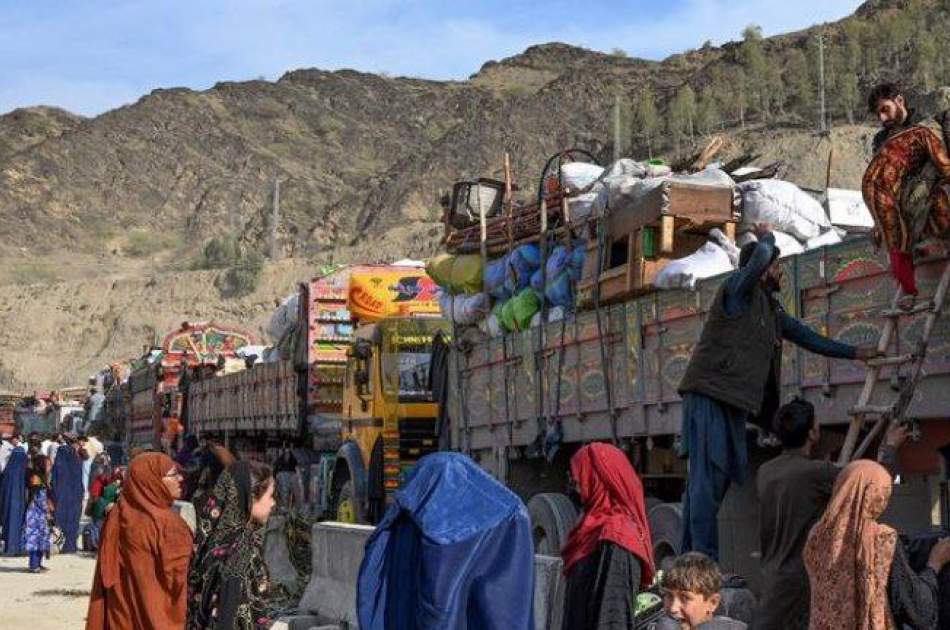 اختصاص سه صد جریب زمین برای اسکان مهاجرین از سوی یک تاجر افغانستانی