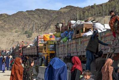 اختصاص سه صد جریب زمین برای اسکان مهاجرین از سوی یک تاجر افغانستانی