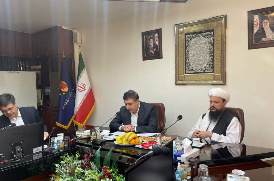تأکید سرپرست وزارت انرژی و آب بر جلوگیری از پرچوی برق صادراتی ایران به افغانستان و کاهش تعرفه آن