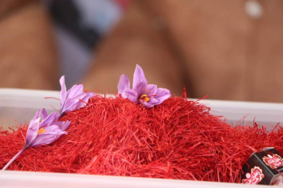 برگزاری هشتمین جشنواره زعفران و غذاهای محلی در ولایت هرات/ حاصلات زعفران افزایش یافته است