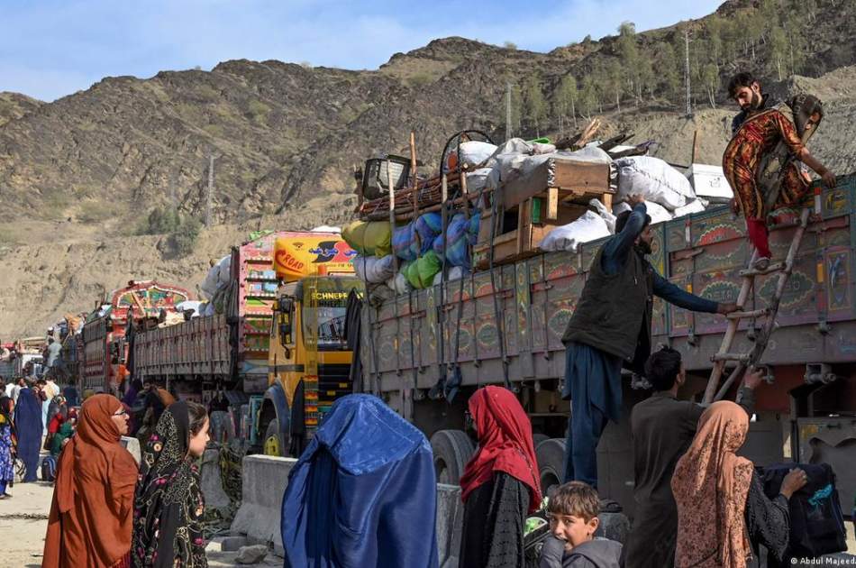 تاکنون بیش از ۴۰۲ هزار تن از مهاجرین از پاکستان اخراج شده اند