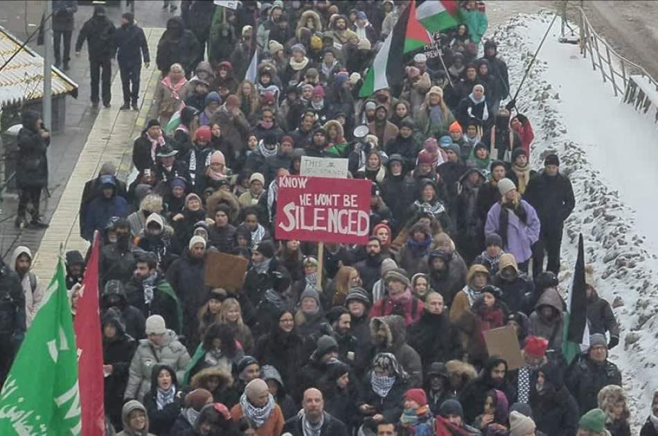 Hundreds of Swedes protest in solidarity with Palestinians