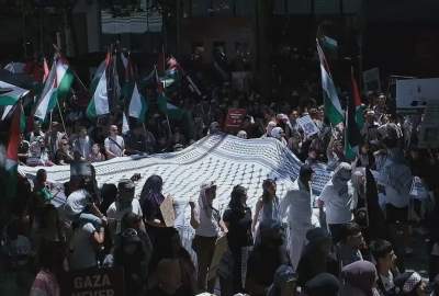 Pro-Palestine demonstrators rally in Australia