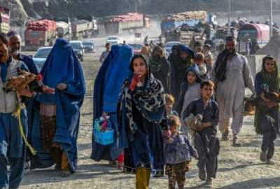 رییس سازمان بین‌المللی مهاجرت با آصف درانی در مورد پناهجویان افغانستانی گفتگو کرد