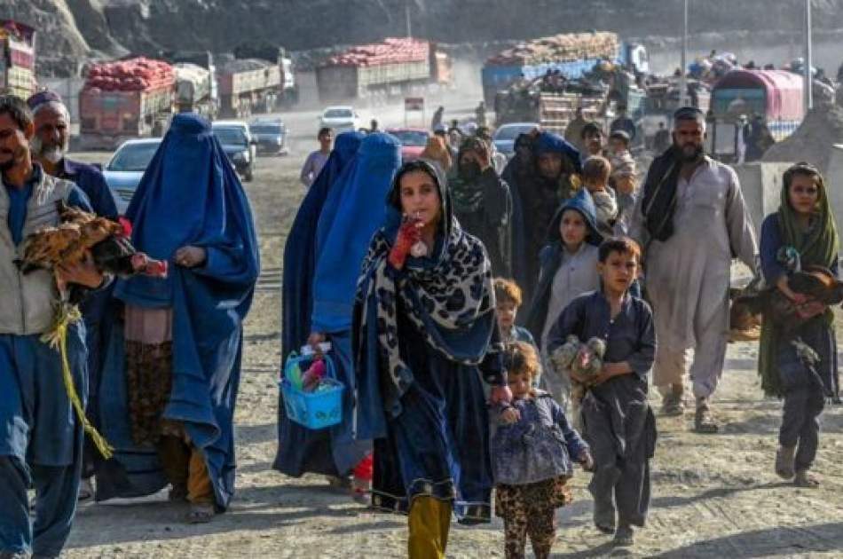 The head of the International Organization for Migration talked with Asif Durrani about Afghan refugees