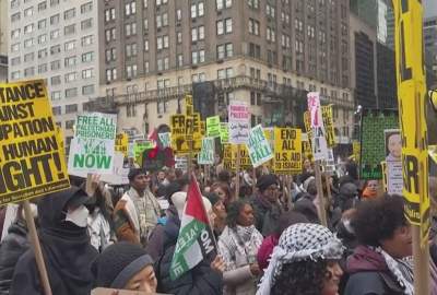 Pro-Palestinians protest in NY as death toll passes 20,000