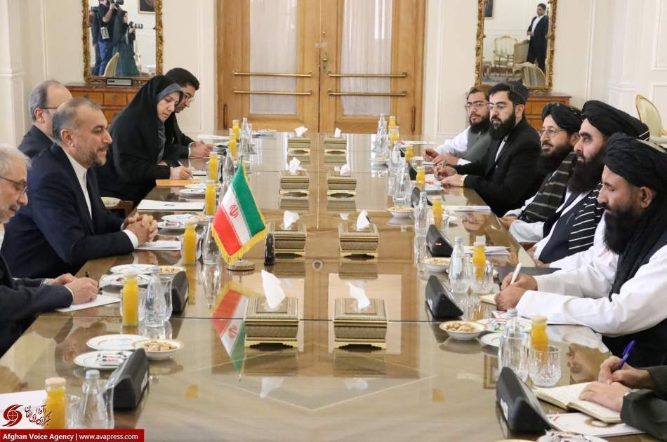What happened in the meeting of the foreign ministers of Afghanistan and Iran in Tehran?!