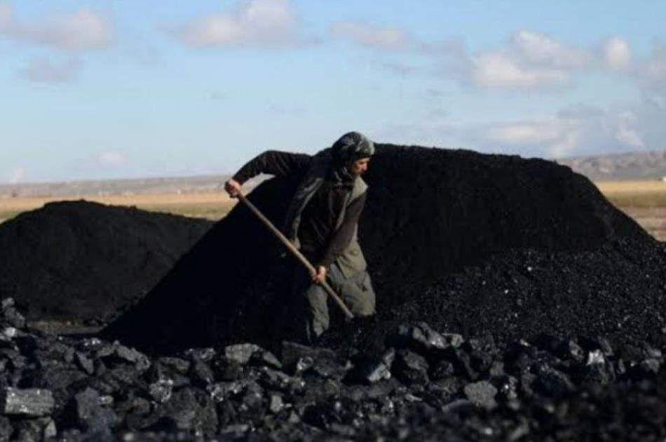 مسئولان: ۲۰ هزار نفر در معادن زغال‌سنگ در شمال کشور مشغول به کار هستند