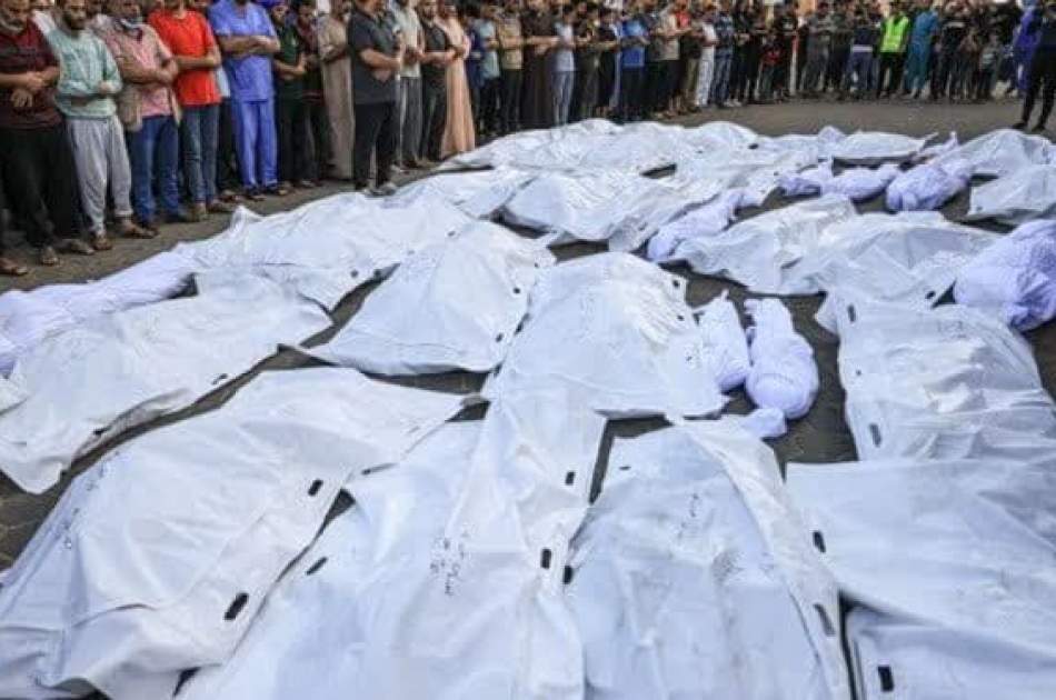 Hamas: Zionists steal the body parts of Gaza martyrs