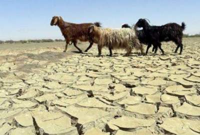 تکرار خشک‌سالی؛ دغدغه‌ اصلی کشاورزان افغانستان