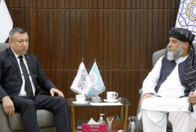 Afghan, Turkmen Ministers Seek Expansion of Trade Ties