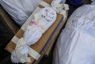 Gaza Death Toll Nears 24,000