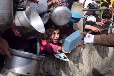 Israel destroying Gaza’s food system, weapon zing food: UN 