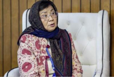 Acting Economy Minister Meets UN Envoy in Afghanistan