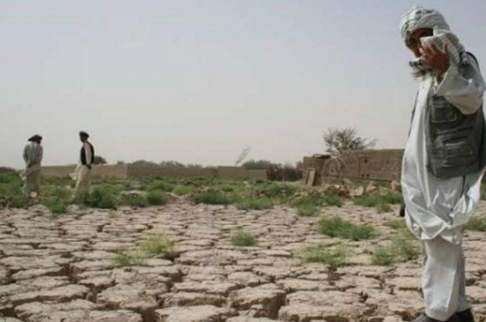 خشکسالی دوامدار در افغانستان؛ کاهش ۱۵.۷ درصدی محصولات کشاورزی