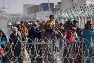 سازمان بین‌المللی مهاجرت از برگشت ۵۰۰ هزار پناهجوی افغانستانی از پاکستان خبر داد