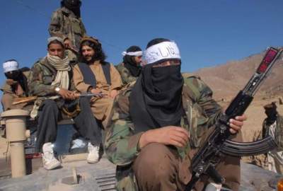 تحریک طالبان پاکستان: کاری به این انتخابات و احزاب شرکت‌کننده در آن نداریم