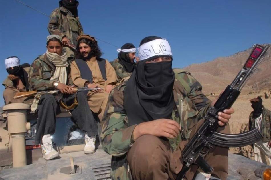 تحریک طالبان پاکستان: موږ و ټاکنو او په دې کې د ګډون کوونکو ګوندونو سره هېڅ کار نه لرو
