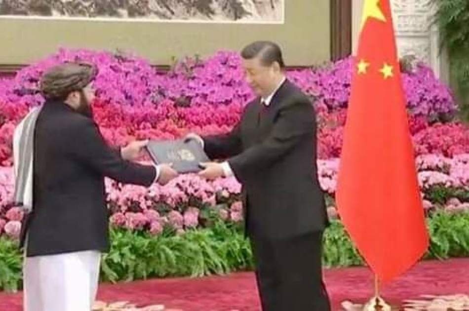 The acceptance of the credentials of the Afghan ambassador by the President of China means the recognition of the Islamic Emirate