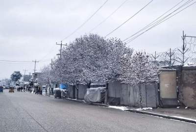 تصاویر/ شهر مزارشریف پس از نخستین برف باری در سال جاری  