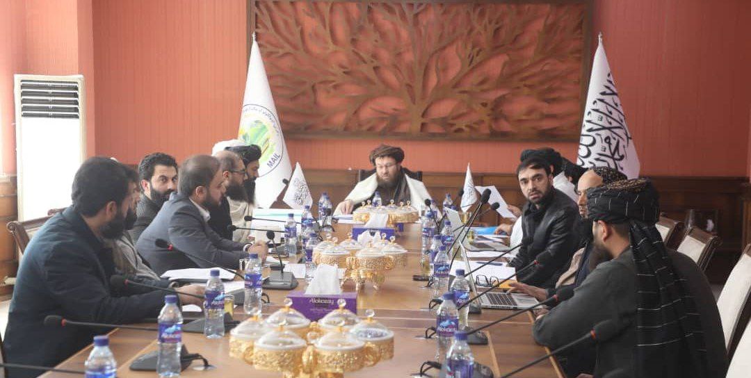 پرداخت ۲.۲ میلیارد افغانی خدمات مالی اسلامی برای دهقانان و مالداران کشور تصویب شد