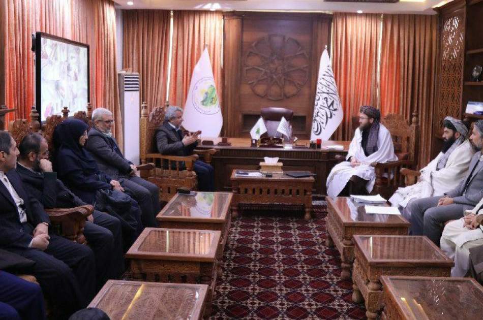 هیئت اعزامی ایران در بخش‌های مختلف زراعتی، مالداری و آبیاری با وزارت زراعت افغانستان به تفاهم رسیده‌اند