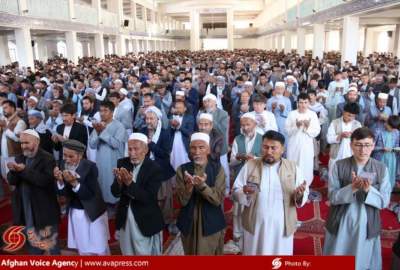 تصاویر/ برگزاری باشکوه نماز عید سعید فطر با حضور گسترده مردم در شهرک المهدی جبرئیل هرات  
