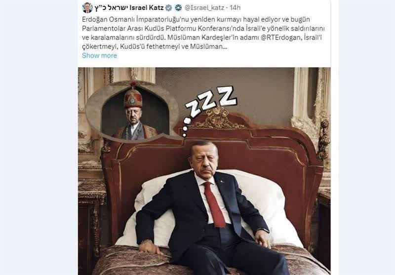 کنایه وزیر خارجه رژیم صهیونیستی به اردوغان؛ به دیدن سریال و رویا‌پردازی ادامه بده!