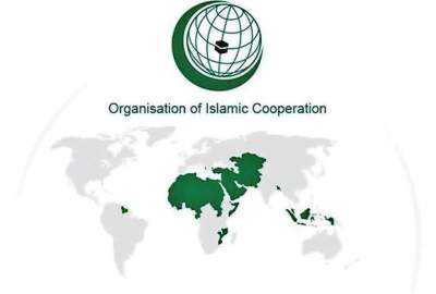 The Organization of Islamic Cooperation stressed on identifying and punishing the perpetrators of the Herat attack