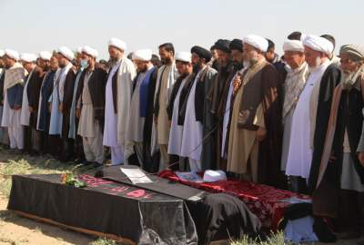 حکمتیار: همه افغان‌ها باید به مبارزه علیه تروریسم بپیوندند